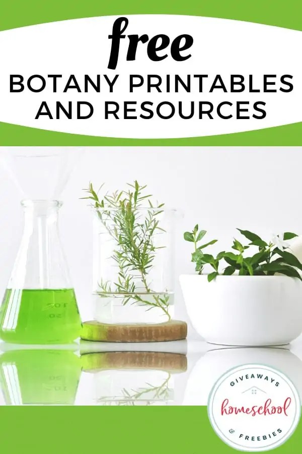 Free Botany Worksheets and Plant Printables for Kids