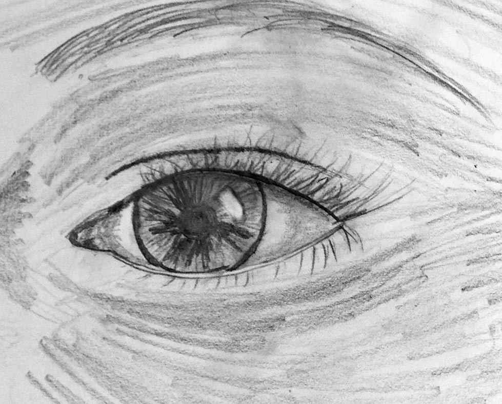 FL Eye Lesson Homeschooling Art