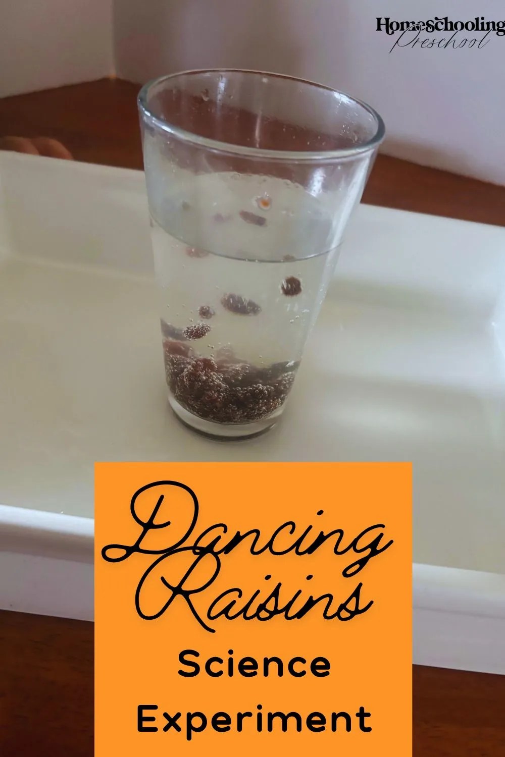 Dancing Raisins Science Experiment - Homeschooling Preschool
