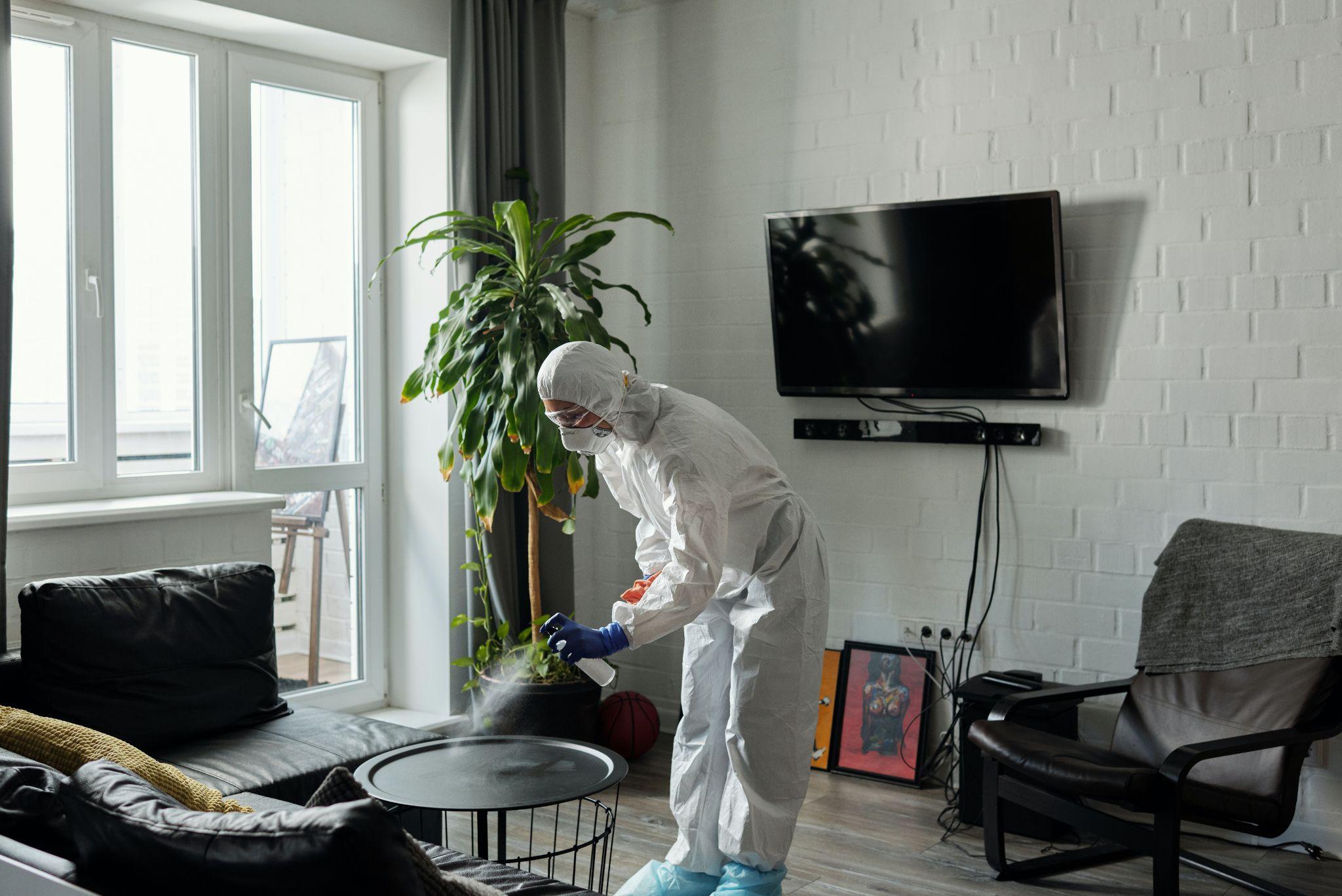 How to Thoroughly Clean Your Living Room Home Senator