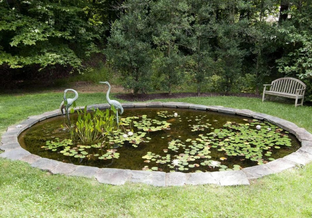 Backyard Fish Pond Ideas Create a Beautiful and Fresh Atmosphere