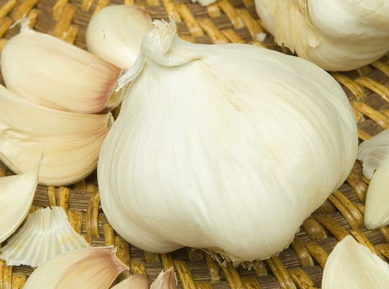 Easy Ways to Grow Garlic from Its Scraps in Your Home HomesFornh
