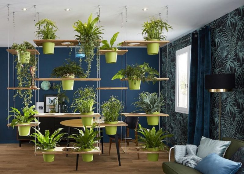 Everyday Benefits of Creating an Indoor Garden in Your Home