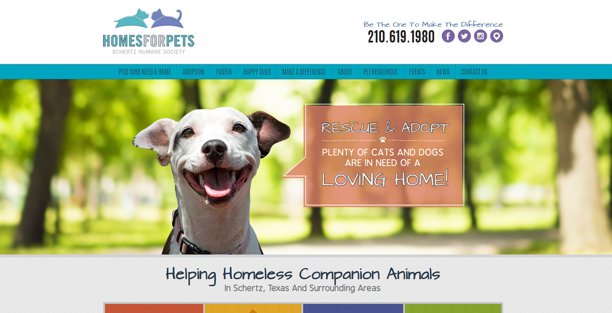 Pet Adoption San Antonio Schertz Humane Society Foster Pet