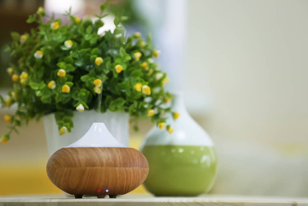 The Science Behind Scents How Do Diffusers Work? Homes Guide