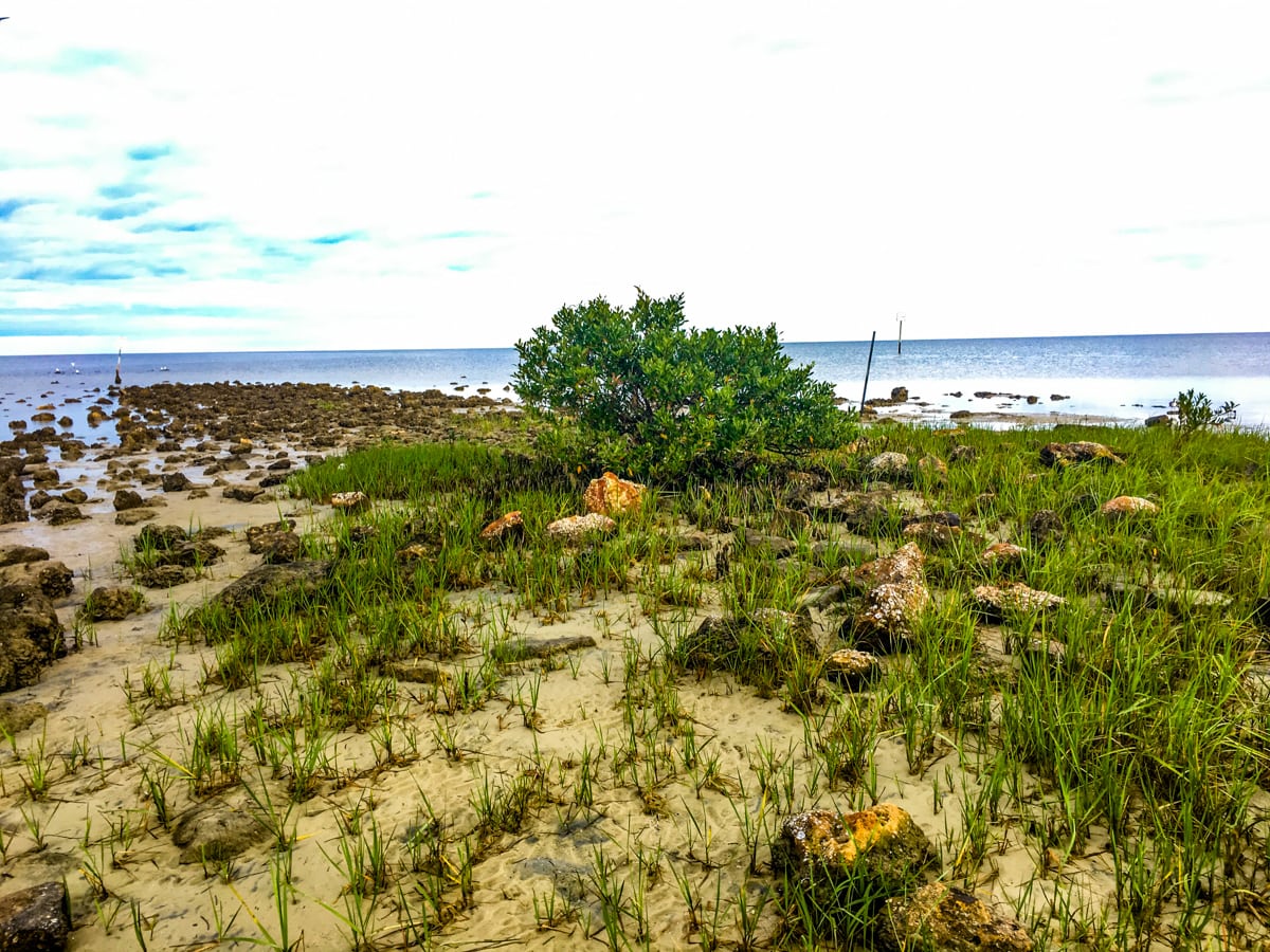 Pine Island, Hernando Beach, Florida Homes Of Hernando