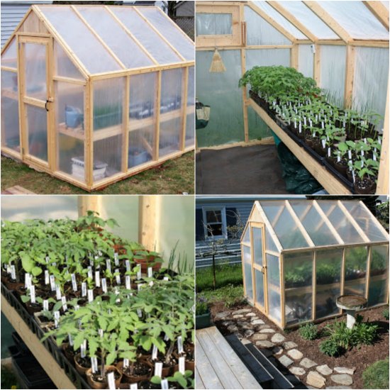 How To Build A Simple Greenhouse In Your Backyard