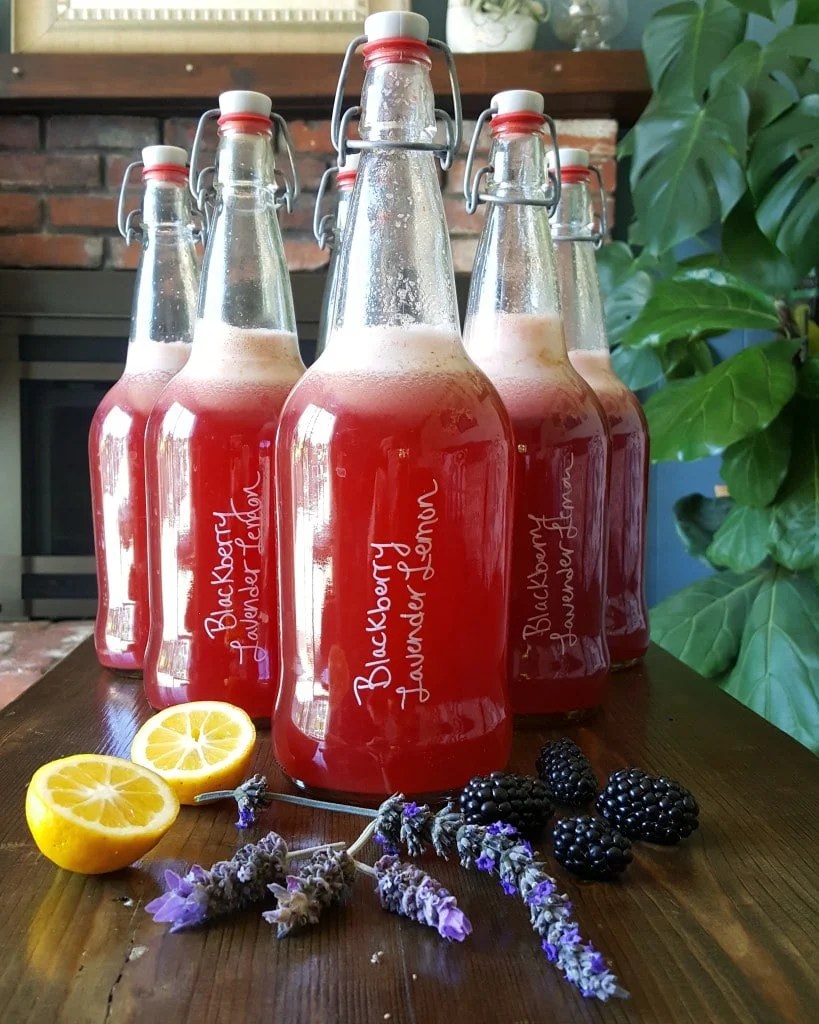 An image of several bottles of kombucha. They&rsquo;re red in color and have &ldquo;Blackberry Lavender Lemon&rdquo; written on the bottle. Actual blackberries, lavender buds, and lemon wedges lay on the table in front of the bottles