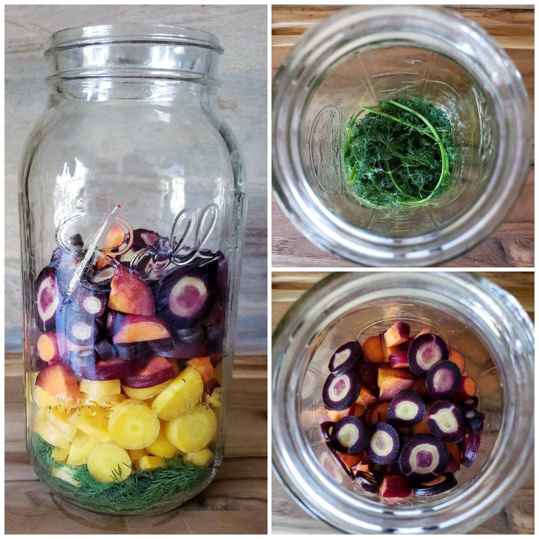 Three images of a 1/2 gallon mason jar. One shows a side view of the jar, half full of cut rainbow carrot rounds. The other two are looking down into the jar, one showing the fresh dill in the bottom of the jar, then carrots added in on top.
