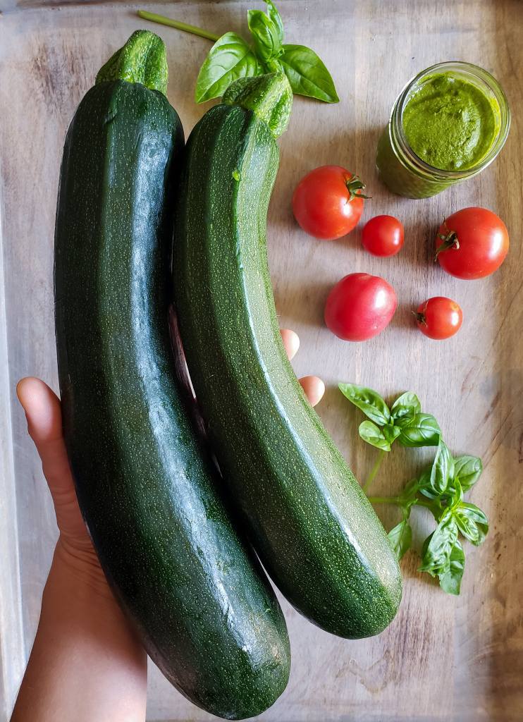 Two medium to large zucchini being held above a cutting board that has 5 red tomatoes of different size, a couple leaves of basil, and a small jar of pesto on it.