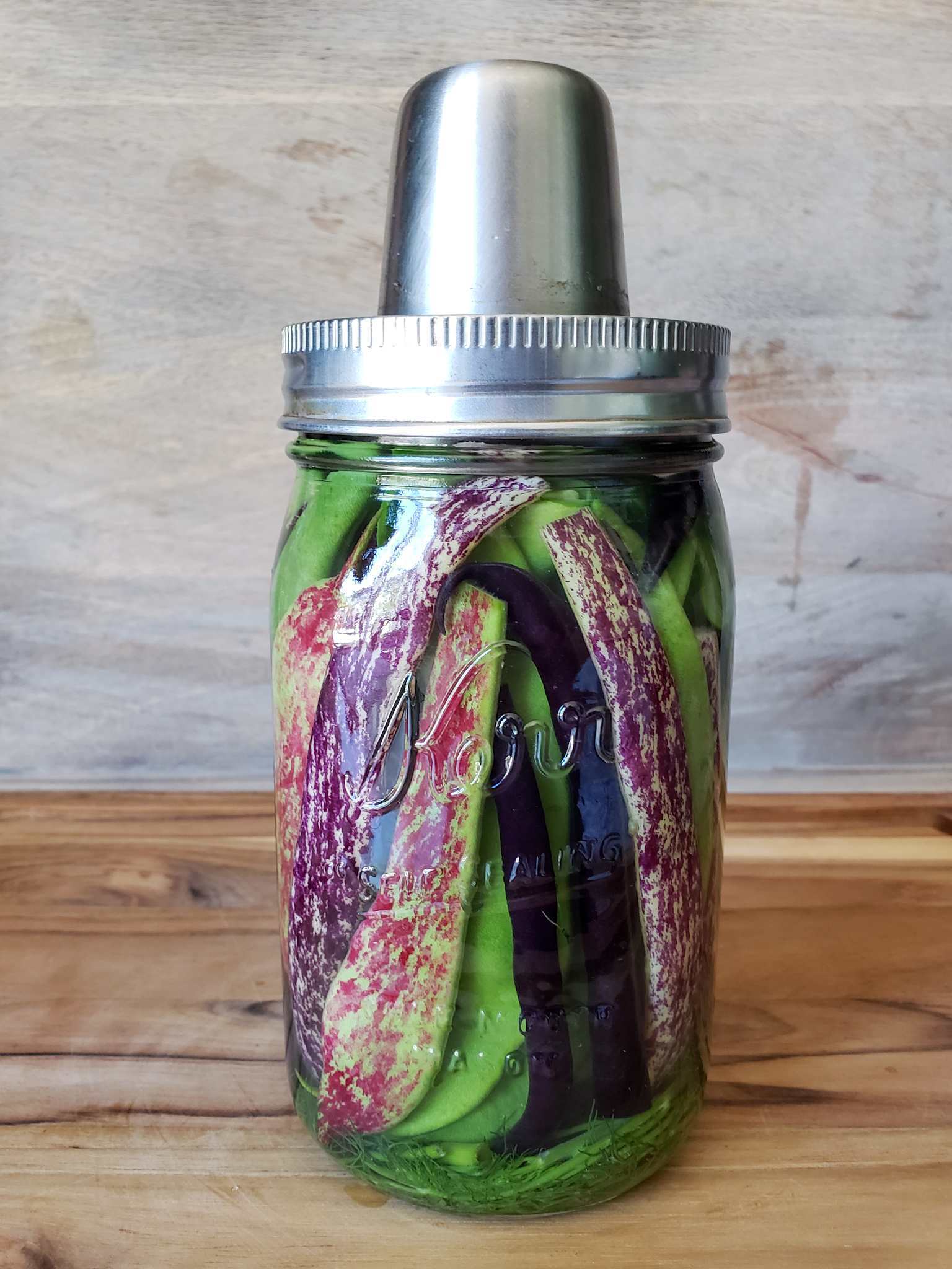 A quart mason jar is shown full of soon to be fermented beans. They are arranged in the jar lengthwise from top to bottom to fit the most beans possible. Some are green, purple and white, purple and red, as well as dark purple. The jar has a Kraut Source device lid on top of it, these are used to ferment produce items safely and easily.