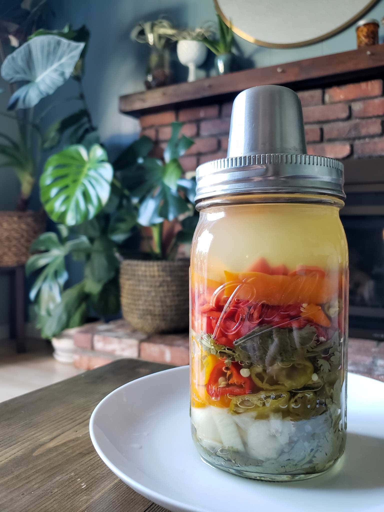The jar full of chili peppers, cilantro, onions, and garlic is shown sitting on a white plate. The Kraut Source lid is still on top of the jar, showing that it is still fermenting. The ingredients inside have shrunk slightly, only filling the jar two thirds of the way now, and the clear salt water brine has now turned cloudy. All of these things are typical of fermenting foods. The background is a brick fireplace flanked on the left by houseplants such as monstera, fiddle leaf fig, and alocasia. The ingredients will be blended to make fermented hot sauce.