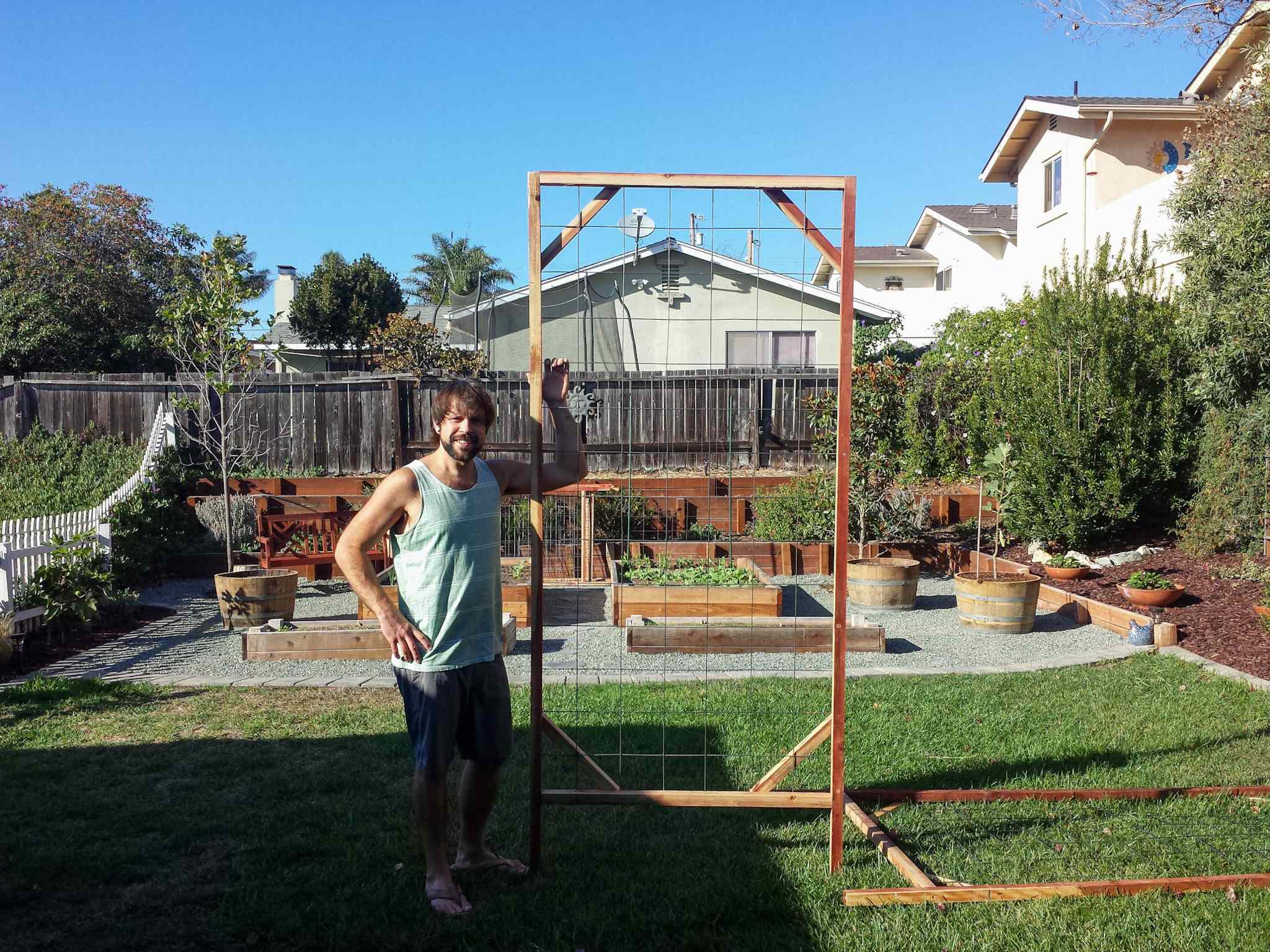 How to Build a Trellis Inexpensive & Easy Designs Homestead and Chill