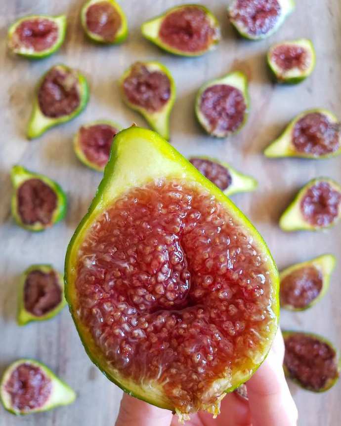 DeannaCat è in possesso di un miele delizia fico che è stato tagliato a metà, rivelando la sua marmellata di fragole luminoso polpa colorata. Ci sono vari fichi sullo sfondo che sono stati tagliati a metà, tutti rivelando varie sfumature di ricche conserve di fragole.