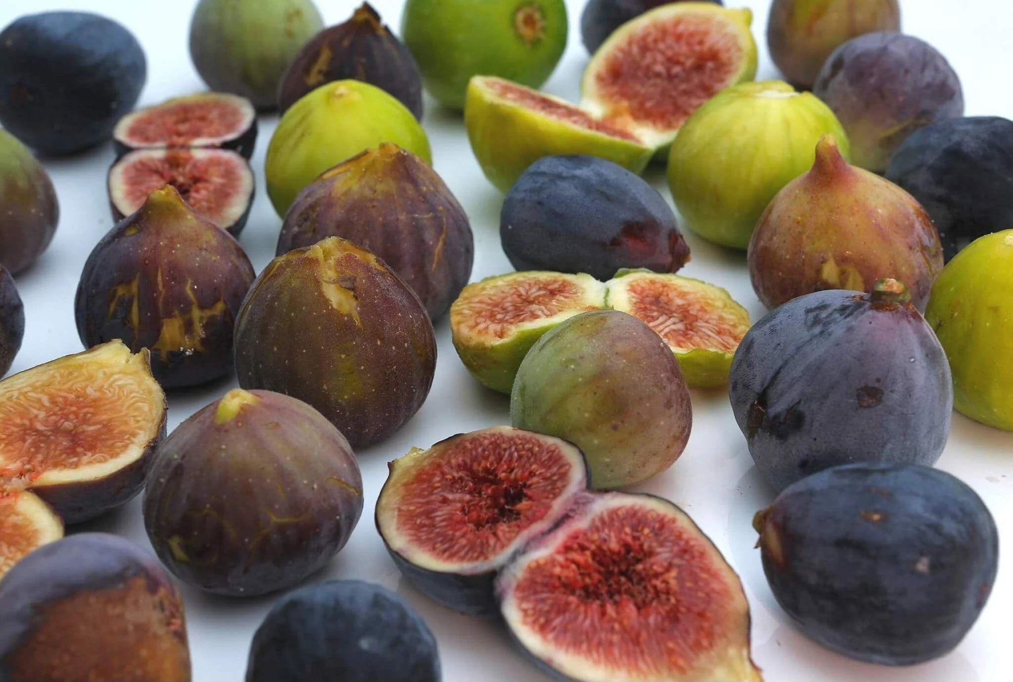 18 Fantastic Fig Tree Varieties to Grow at Home Homestead and Chill
