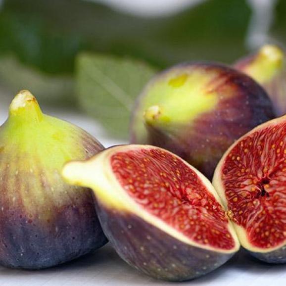 Fichi dal fondo viola con più bronzo verso il collo e a fuoco. Uno dei fichi è stato tagliato a metà longitudinalmente, rivelando una polpa ambrata scura incredibilmente ricca e vibrante all'interno.
