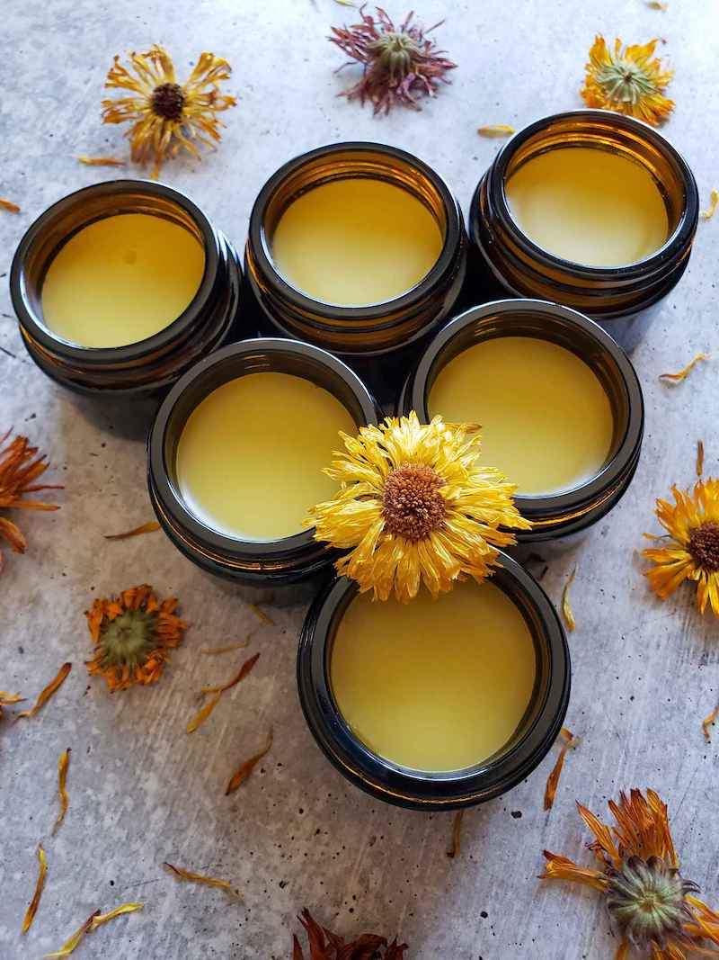 A close up birds eye image six jars of calendula salve arranged like bowling pins. There is a dried calendula flower perched in between the top edges of a few of the jars. There are also dried flowers scattered around the area surrounding the jars. Make calendula salve if you need skin relief.