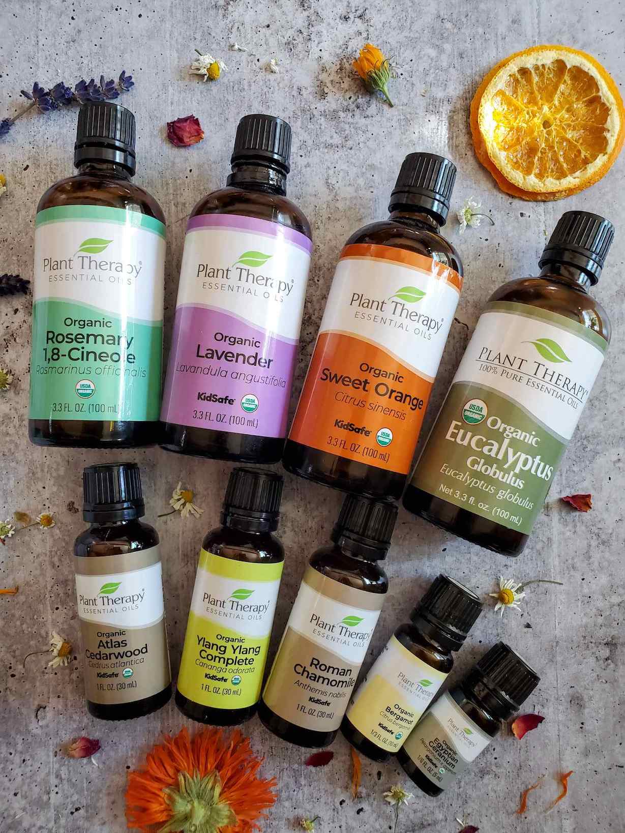 An array of many essential oils made by Plant Therapy that are laying down with their labels facing upwards. A few dried flowers and dried orange slice adorn the area. We like to use Plant Therapy essential oils when we make salve.