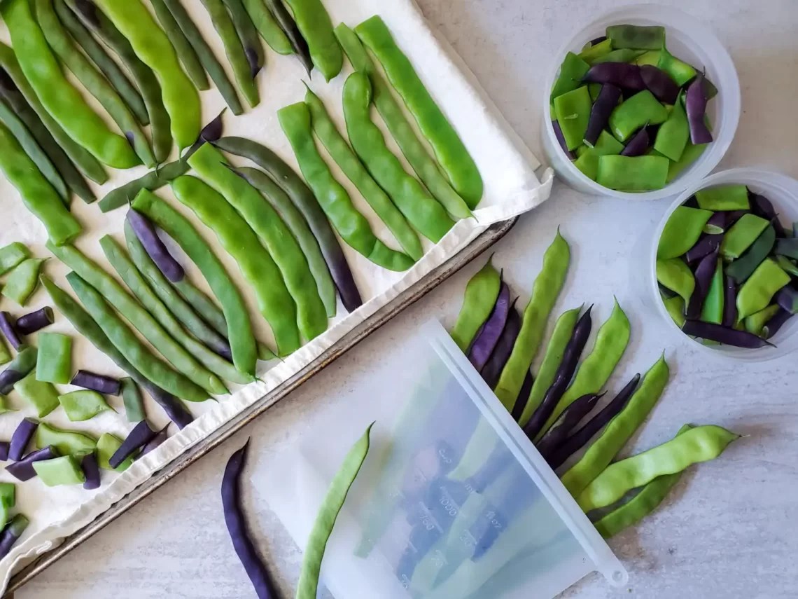 How to Freeze Green Beans (With or Without Blanching) Homestead and Chill
