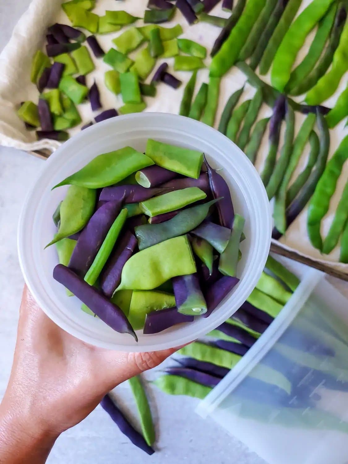 A hand is holding a small plastic container that is full of blanched vegetables that will be frozen for storage.