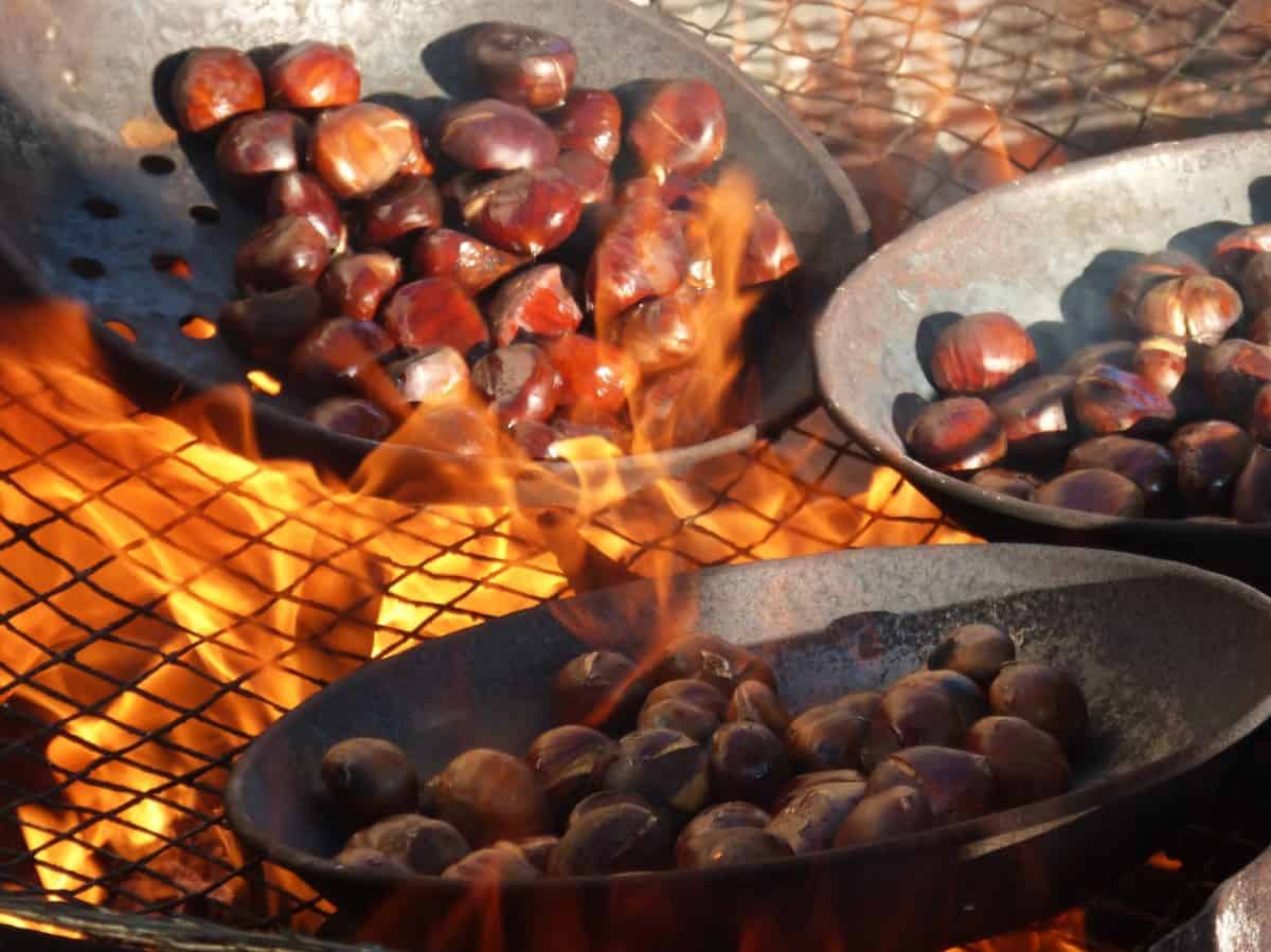 10 Easy Ways to Store Chestnuts Step by Step Guide