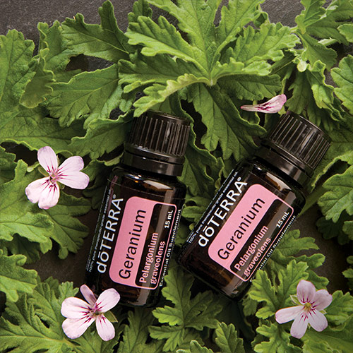 Essential Oils for Insect Repellents