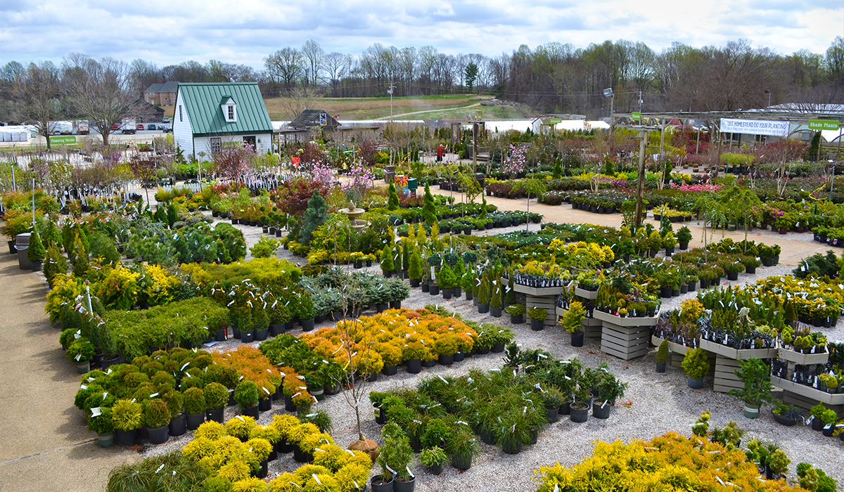 The Premier Garden Center and Nursery in Smyrna, DE Homestead Gardens
