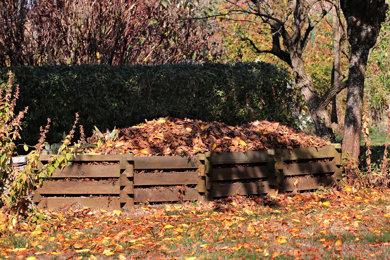 Should I Put My Compost Bin in the Sun or Shade? The Homestead Hangout