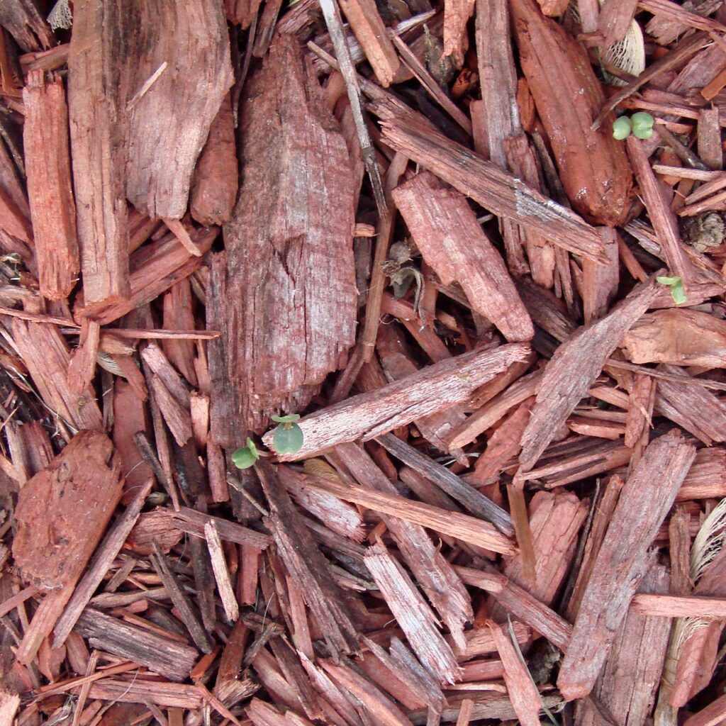Cedar Mulch in Gardens Pros and Cons, Uses, and Benefits The