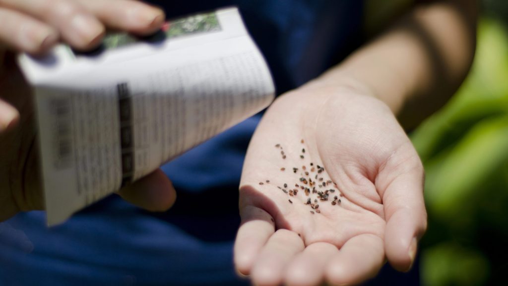 Depositphotos 13107433 L edited