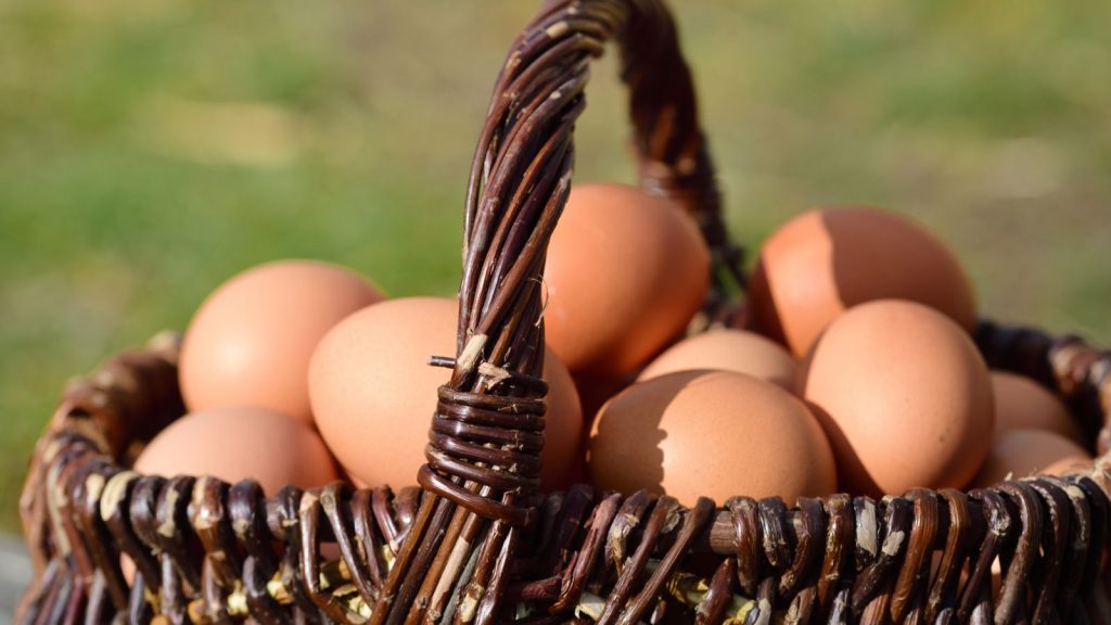 An old wicker basket, full of fresh eggs, stands in the spring sun against a green background with space for text.