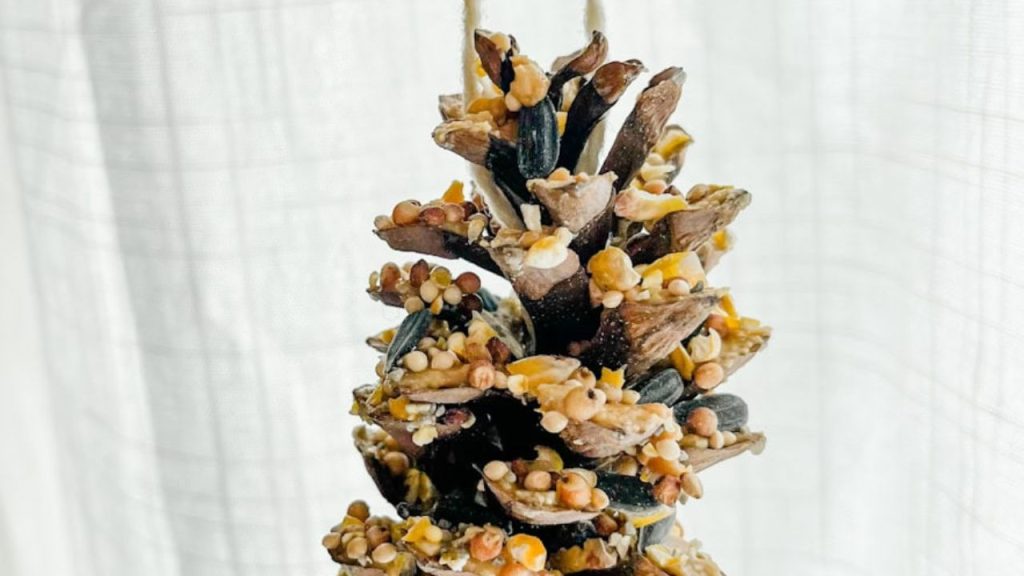 Pinecone Bird Feeder with Peanut Butter