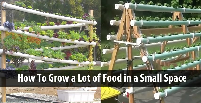 Grow a Lot Of Food in a Small Space! 2 DIY Hydroponic Systems You Have