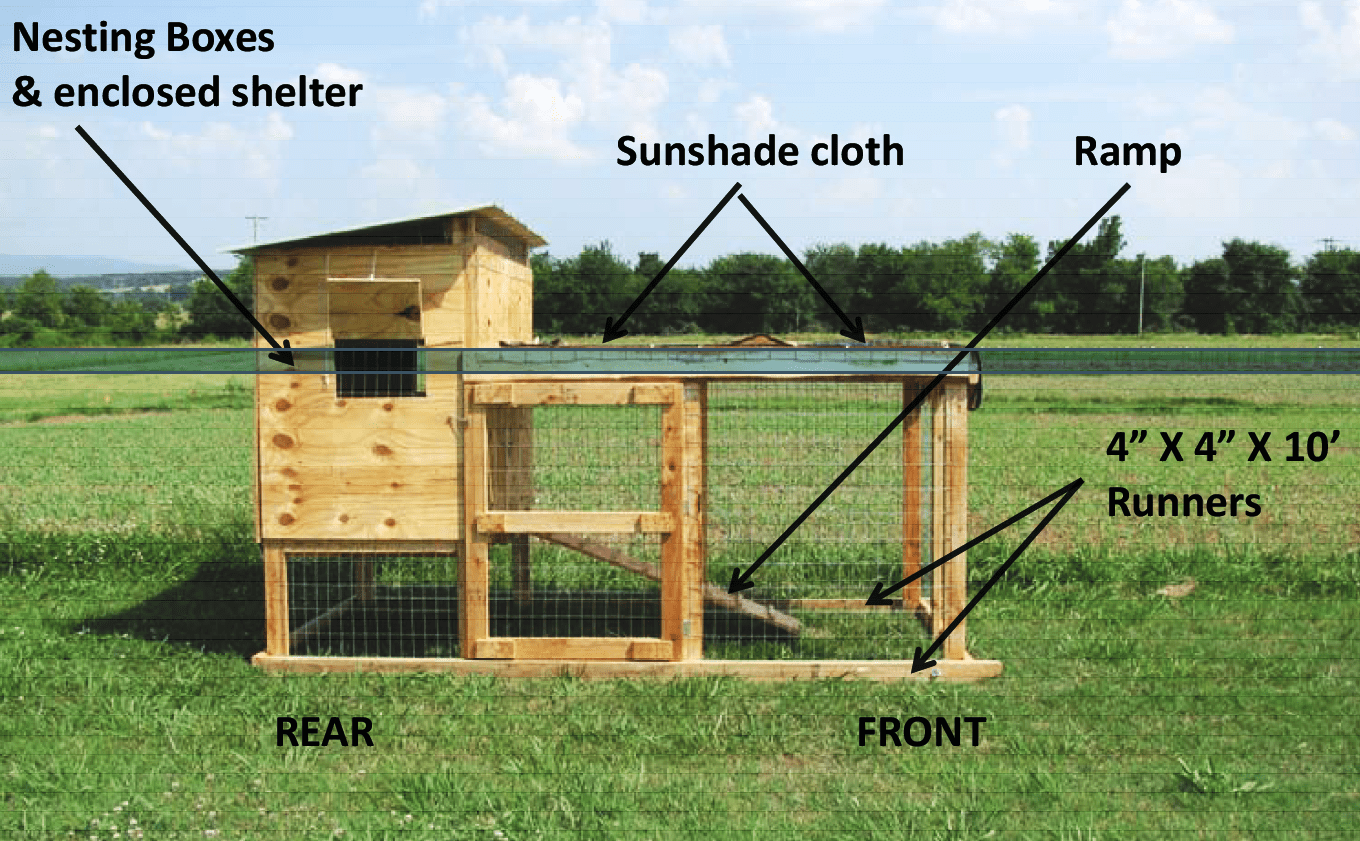 The Complete Guide to Building a Chicken Tractor