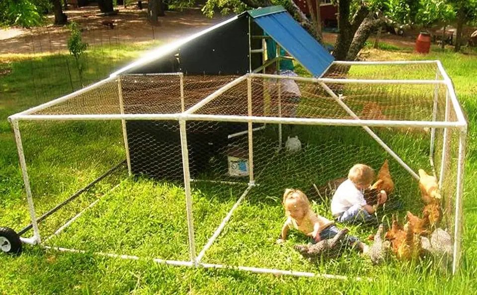 16 Easy Chicken Coop Designs