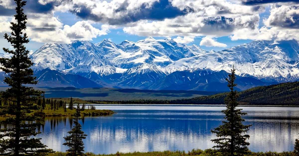 How Do Homesteaders in Alaska Make Money? Homestead Wire