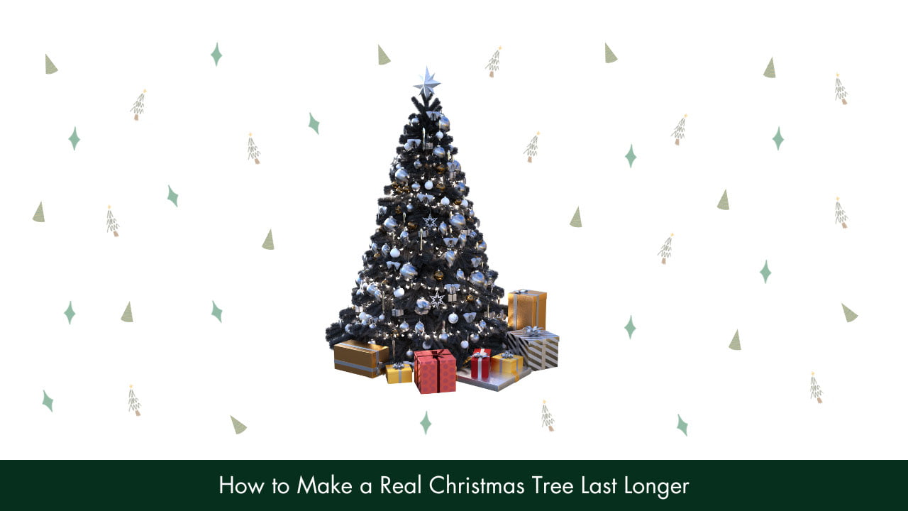 How To Make A Real Christmas Tree Last Longer?