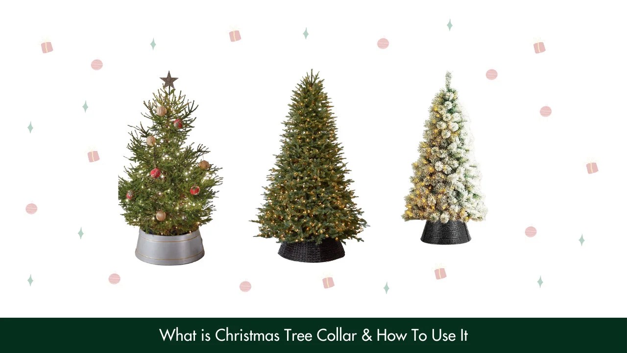 What Is Christmas Tree Collar & How To Use It?