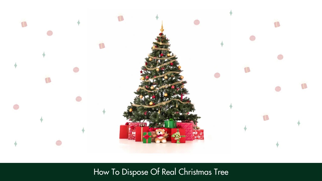 How To Dispose Of Real Christmas Tree Safely And Responsibly