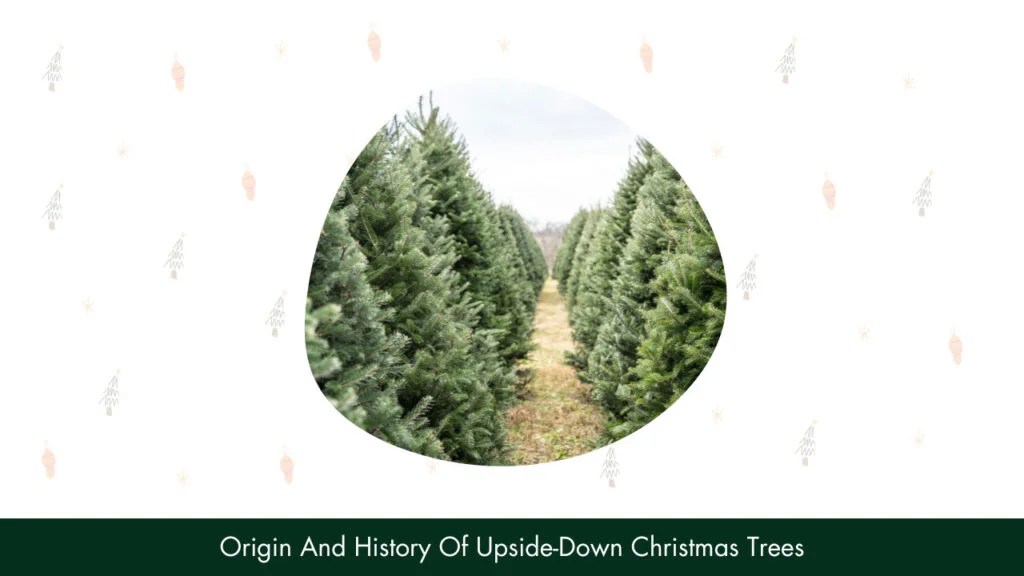 Learn All About UpsideDown Christmas Trees
