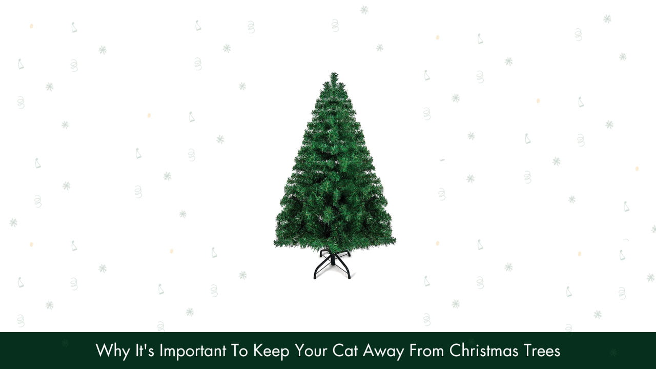How To Keep Cat Away From Christmas Tree?