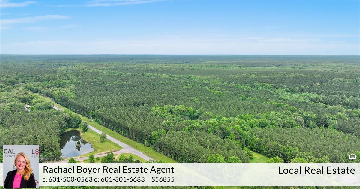 2491 Hwy 483 , Morton, MS 39117