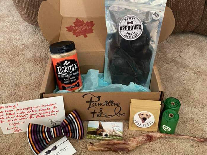 Pawsitive Pets Inc Hometown Hub