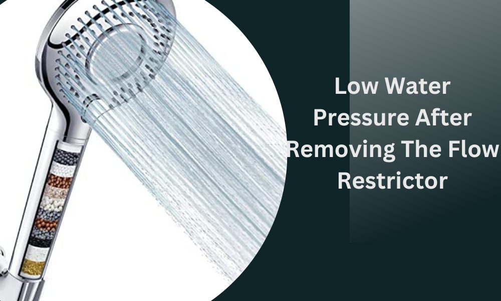 How to Remove Flow Restrictor from Delta Shower Head [DIY Guide]