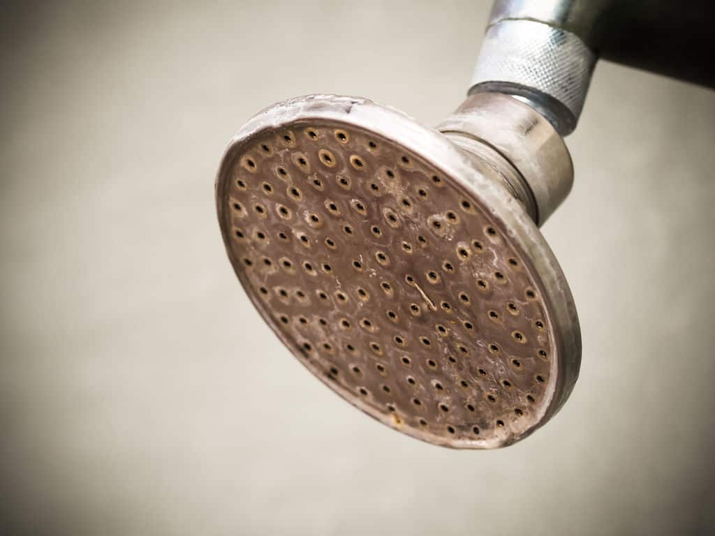 How to Remove Rust from Your Shower and Surfaces HomeViable