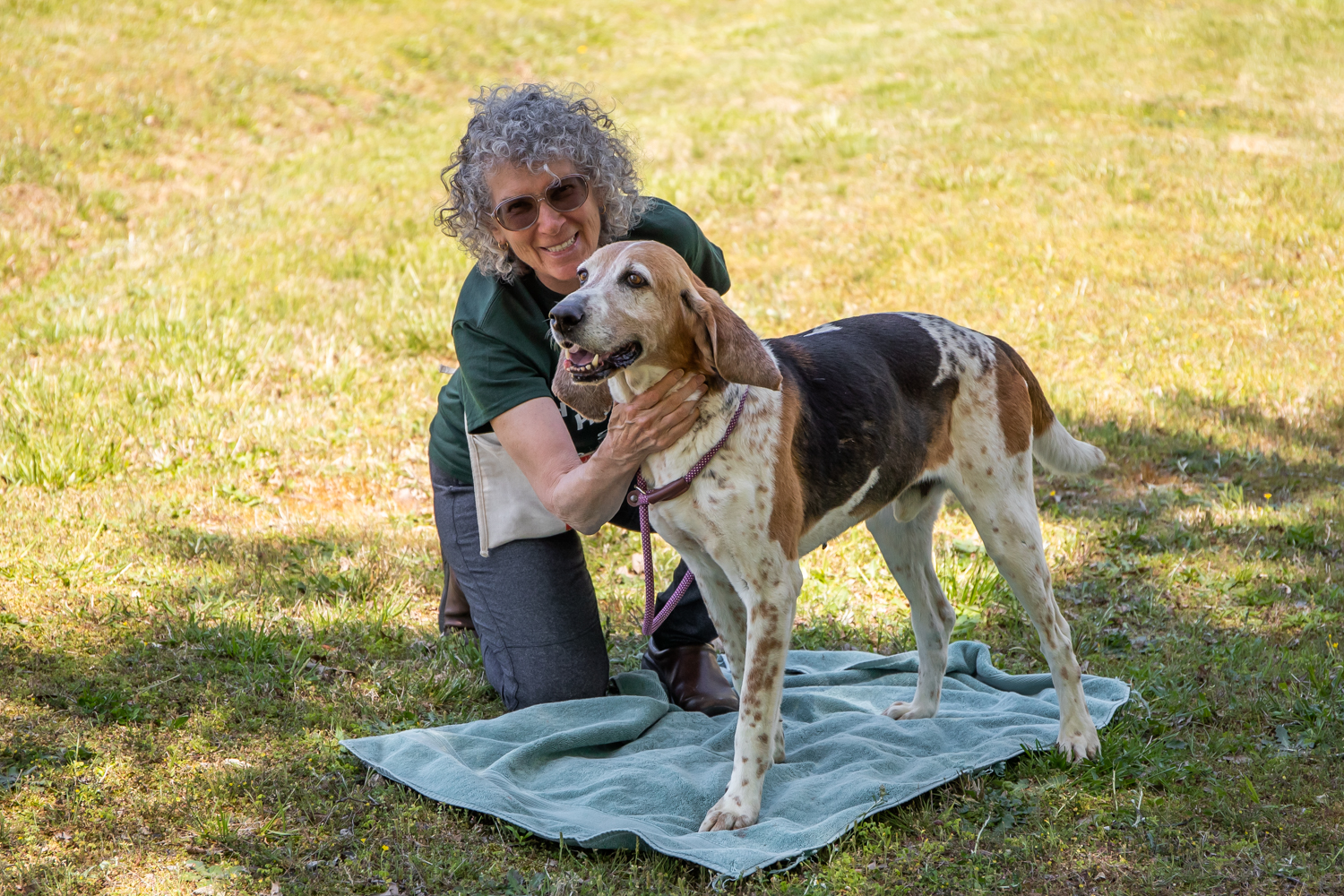 Pacolet Homeward Hounds