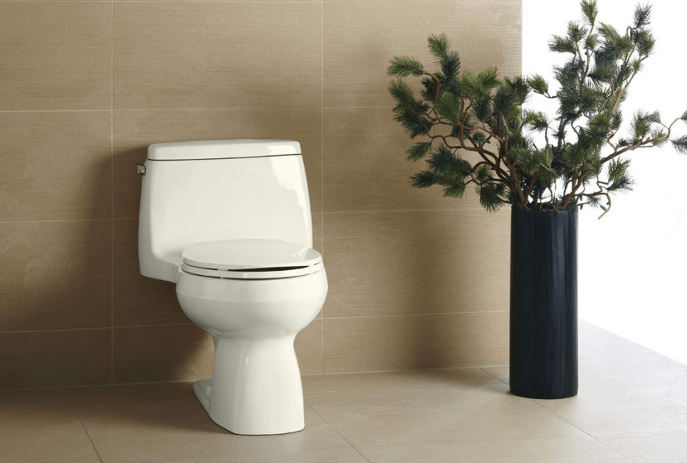 Kohler Santa Rosa Review Is This Toilet Like You Imagine? HomeWaterWorks