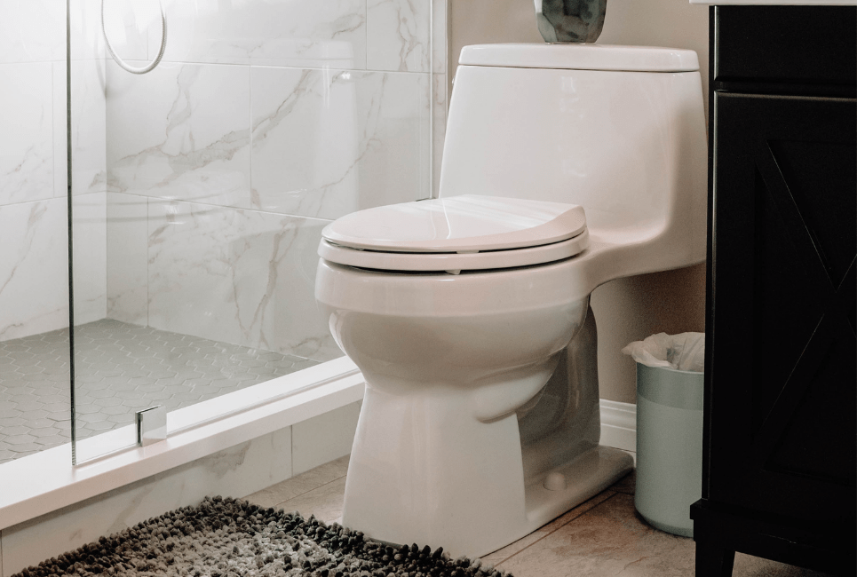 Toto Drake vs Drake 2 Which Is the Top Pick? HomeWaterWorks