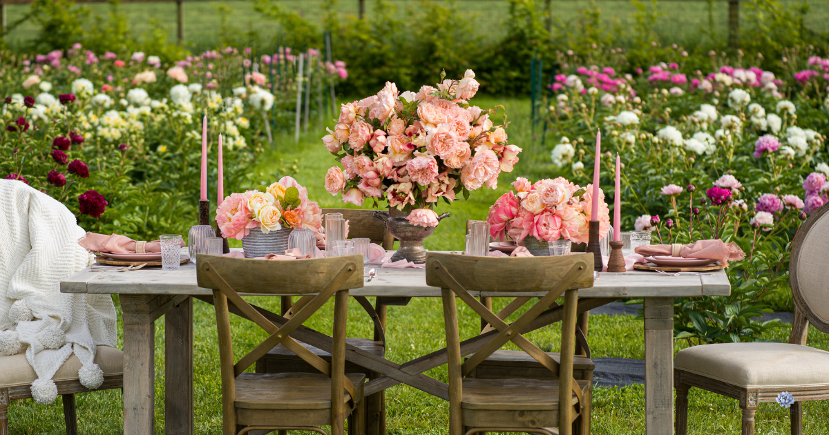 Pure Peony Flower Farms Near Me in PNW Home With Holly J