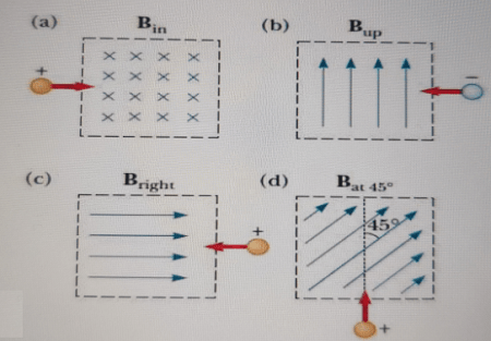 Determine The Initial Direction Of The Deflection Of Charged Particles As They Enter The Magnetic Fields As Shown In The Figure: | Homework.study.com